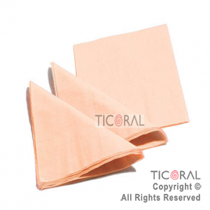 SOLID SERVILLETA 25X25 SALMON (2VELOS) HS450-14 x 20